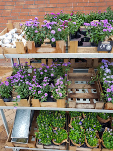 BLUME2000 Stralsund