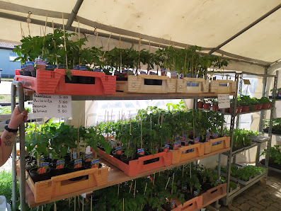 Gartenservice Grünkram
