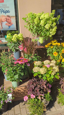Blumengeschäft Blütenzauber, Anja Buchholz, Blumeneinzelhandel
