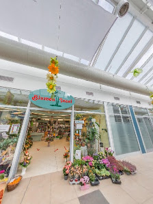 Blumeninsel Perner