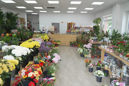 Blumen und Pflanzen PROFiFLORA