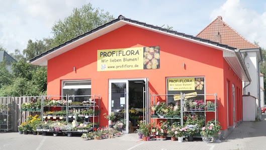 Blumen und Pflanzen PROFiFLORA