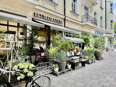 Blumen Adler seit 1930