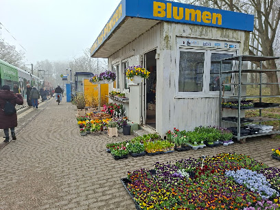 Blumen & Topf-Pflanzen