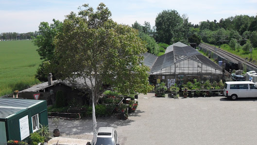 Gärtnerei Grabrucker Friedhofsgärtnerei