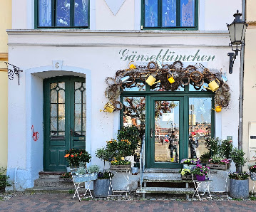 Gänseblümchen