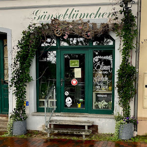 Gänseblümchen