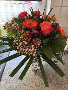 Gänseblümchen