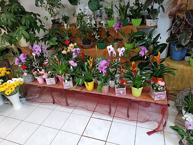René Marquardt Blumenshop