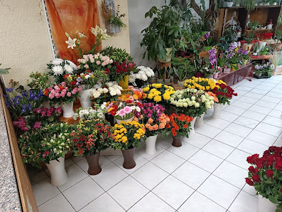 René Marquardt Blumenshop
