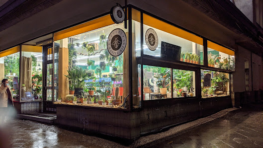 Blumen Weyer GmbH Berlin