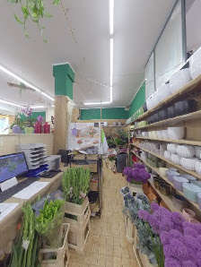 Blumen Weyer GmbH Berlin