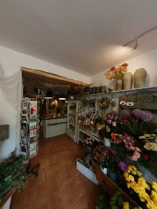 Blumenkiste Lüdemann
