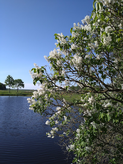 Gärtnerei GWW