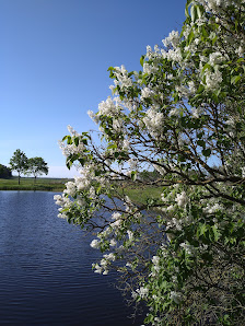 Gärtnerei GWW