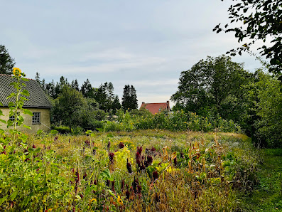 Kathi Laß - natura Fleure ehm. Gärtnerei Gertrud Lass