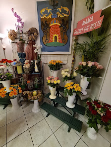 Blumen Hoffmann