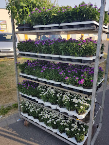 Johannsen Gartenfachmarkt