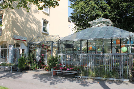 Blumen Elsdörfer