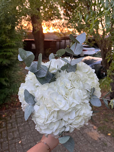 Sandra´s Blumenstübchen Kölpinsee