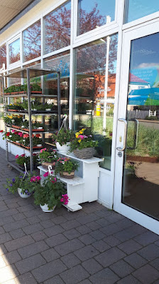 Blumen & Me(e)hr