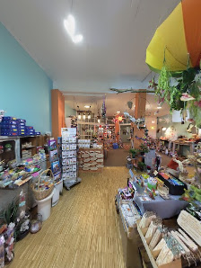 Blumenkunst Bollewick