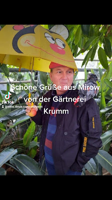 H. Dietrich Krumm
