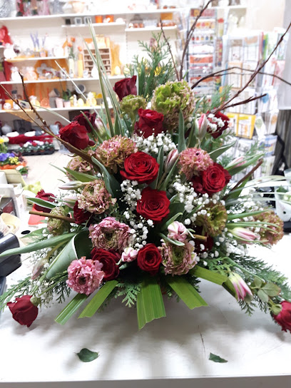 M.Baum Blumen & Floristik Plau
