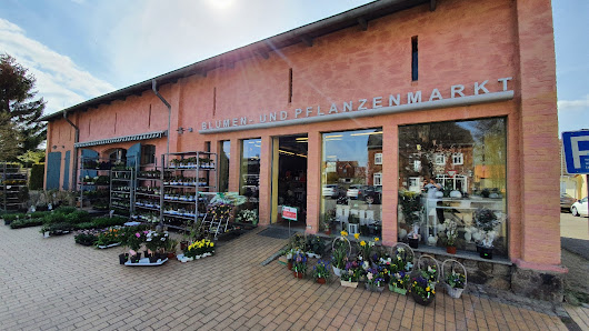 Blumen- u. Pflanzenmarkt Erich Rahlf & Söhne