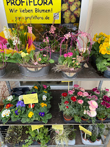 PROFiFLORA