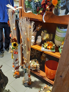 Blumen Hanjo Bentin