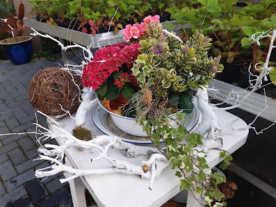 Blumen Hanjo Bentin
