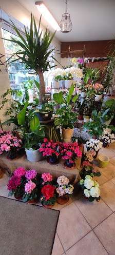 Die Floristin Astrid Schröder Blumenfachgeschäft