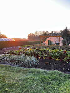 Grischower Gartengemüse