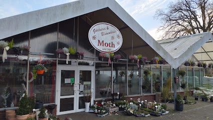 V. Moth