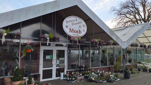 V. Moth