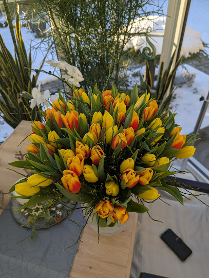 Lenis Blumenkiste