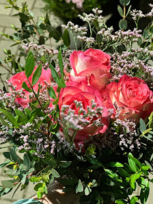Blumenhandel Plagens