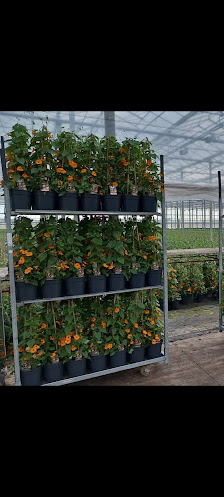 Blumenhandel Plagens