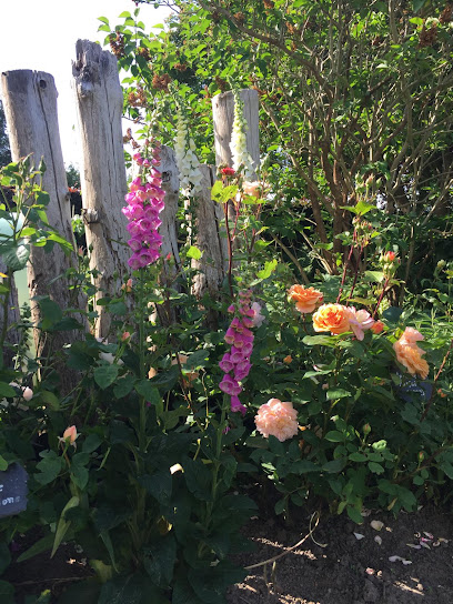 Gartengestaltung und -pflege Subklew