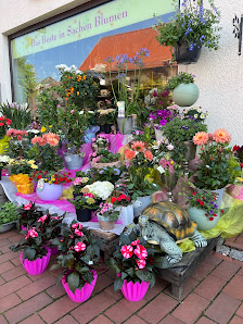 Blumenlädchen Hempel mit 5-Sterne Fleurop-Service