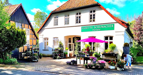 Babette Schumacher: Blumen, Garten & Wohnen