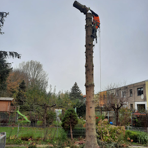 BV Baumpflege Vorpommern