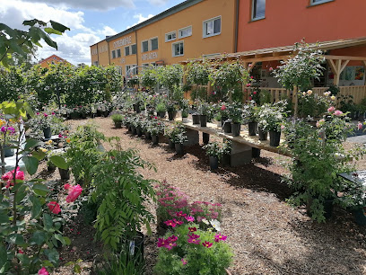 Gärtnerei an der Ostseemühle