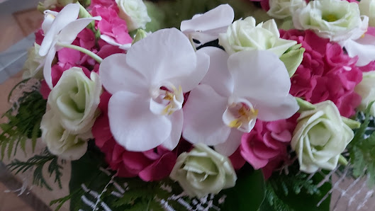 Blume und Geschenk