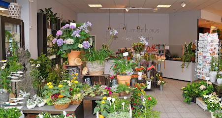 Blumenhaus Frankenstein
