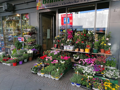 Blumen Kiste