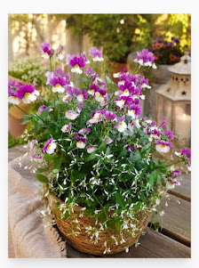 FSKFriedhofsservice und Blumenbinderei Klempahn
