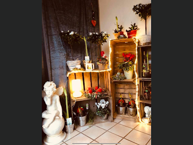 Petras Blumenparadis