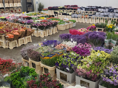 NORDFLOR Blumenhandel GmbH & Co.KG